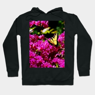 Butterflies - Tiger Swallowtail on Azalea Hoodie